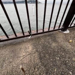 雨のあいまに②