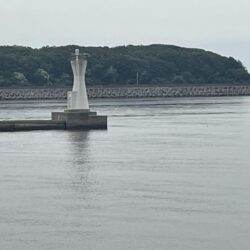 雨降ってなく急遽釣行
