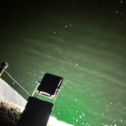 夏ヒイカ