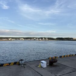 夏の海になってきたなー