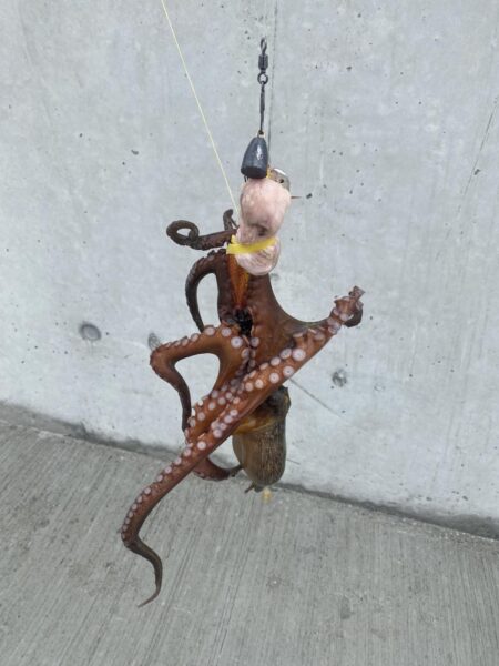 朝活