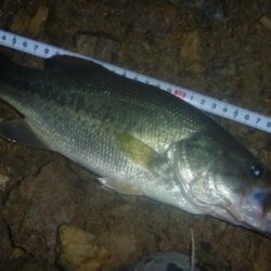 一庫ダム釣行　7月2日