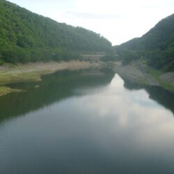 7月8日　一庫ダム釣行