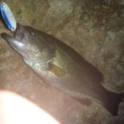 一庫ダム釣行　7月14日