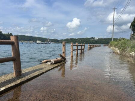 穴水町フカセチヌ