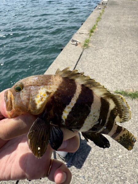 日本海