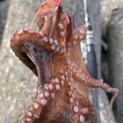 釣り場移動！
