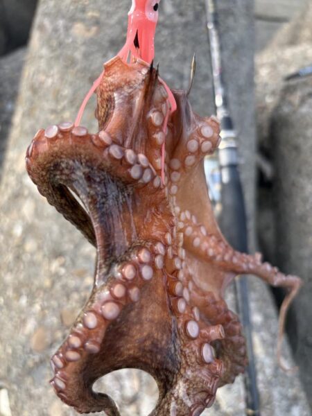 釣り場移動！