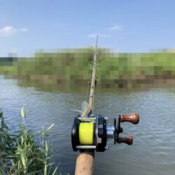 オールドダイワで楽しむトップウォーターデイシーバス