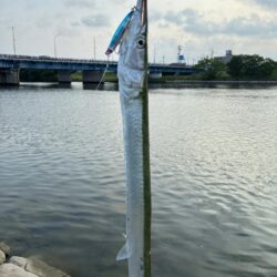 夏はトップチニング！
