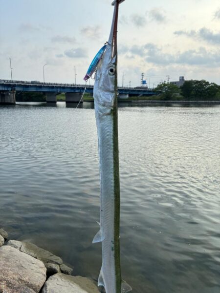 夏はトップチニング！