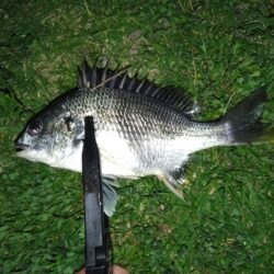 そりゃぁこうなるわな(笑)