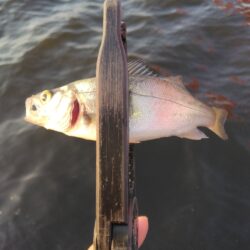 限界突破！