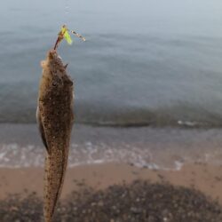 ちょい投げキス