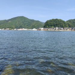 キス釣り　キスを泳がせてみた。