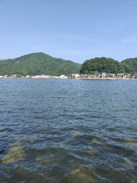 キス釣り　キスを泳がせてみた。