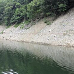 朝活釣行は激熱のボイル