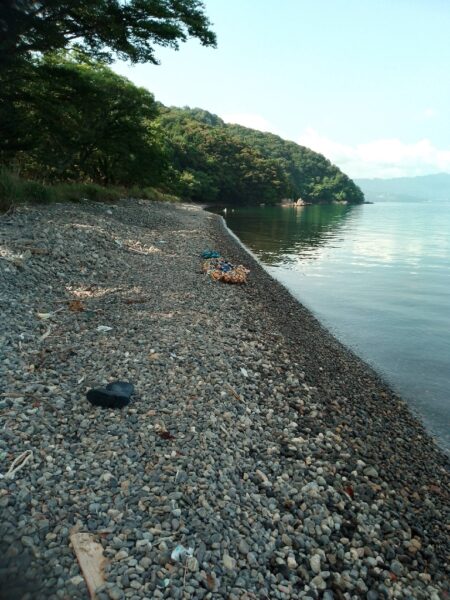 ピンキス釣り