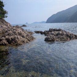 今シーズン最後のロックフィッシュ