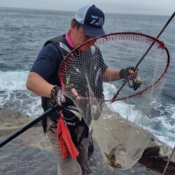 和歌山市江（吉丸渡船）でグレ釣り