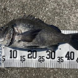 イチノ兄弟、釣果！