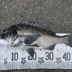 イチノ兄弟、釣果！