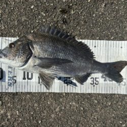 イチノ兄弟、釣果！