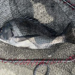 イチノ兄弟、釣果！