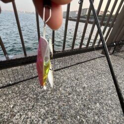 渋い②