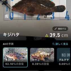 ワームちょんちょん