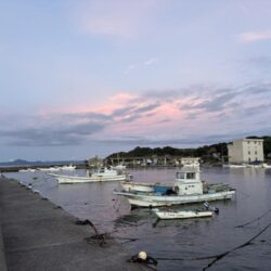 夏の海になってきたなー