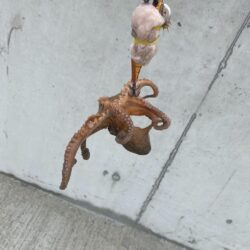 朝活