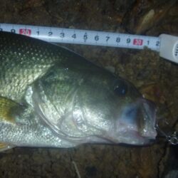 一庫ダム釣行　7月2日