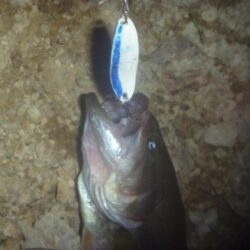一庫ダム釣行　7月14日