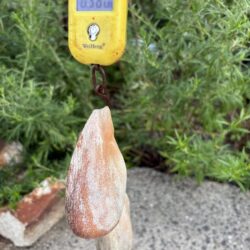 まだ、これからか!
