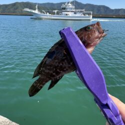 福井キス釣査