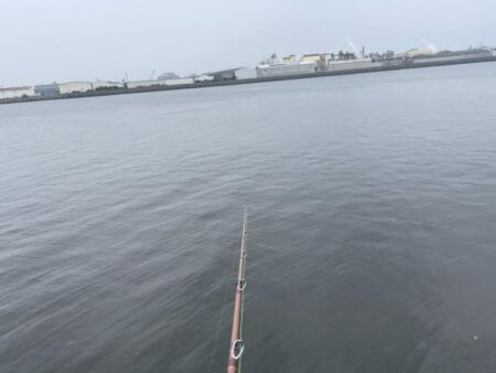 タコ