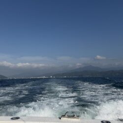 ぼちぼち釣れたマイカ