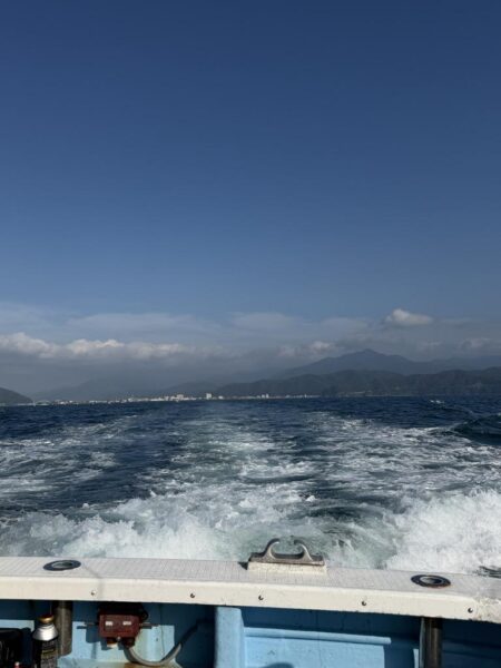 ぼちぼち釣れたマイカ