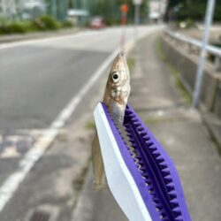 なんでもライトゲーム