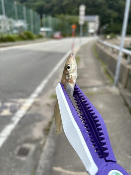なんでもライトゲーム