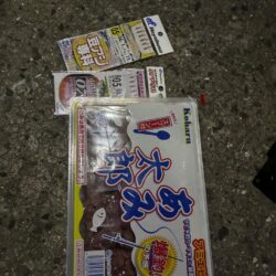 今年初サビキ