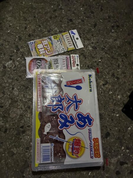 今年初サビキ