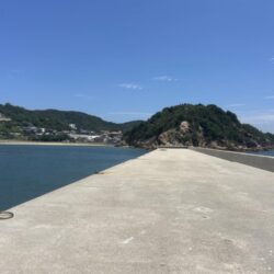宇野沖 フカセ釣り