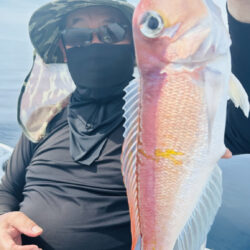 マイボートでアマダイ、アコウ釣り！