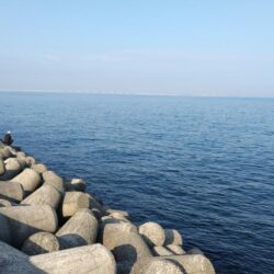 ブリ族＋牙族  まさかのサワラ86センチも‼
