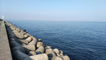 ブリ族＋牙族  まさかのサワラ86センチも‼