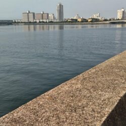 まだまだこれから！激渋でも潮が動けば連発します。