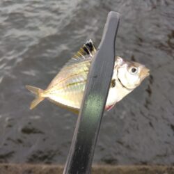 限界突破！