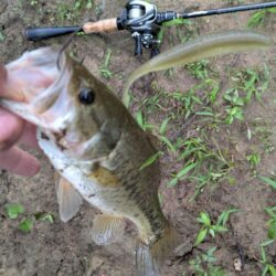 雷の合間に釣り